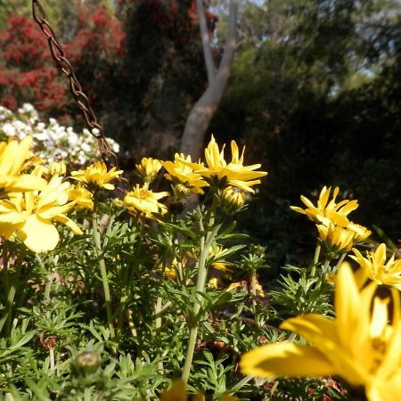 ארמדייל The Hideaway Luxury B&B Retreat מראה חיצוני תמונה