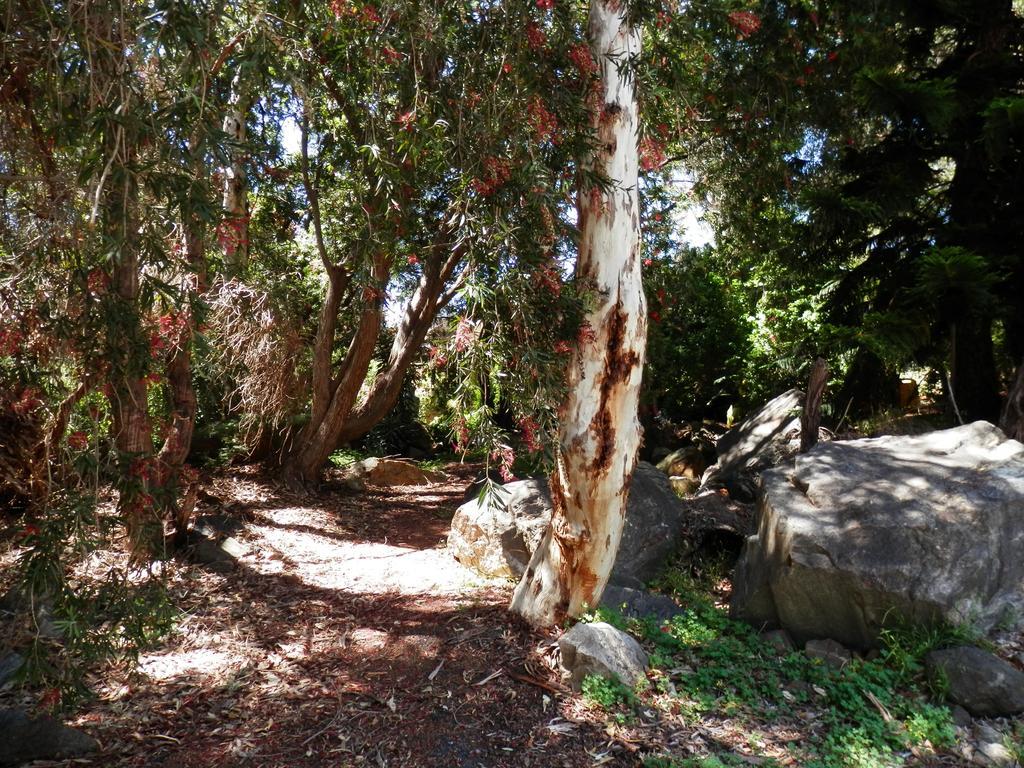 ארמדייל The Hideaway Luxury B&B Retreat מראה חיצוני תמונה