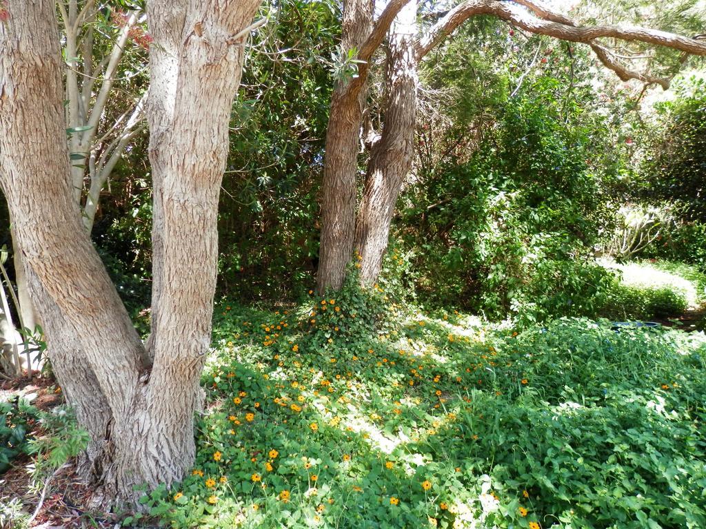 ארמדייל The Hideaway Luxury B&B Retreat מראה חיצוני תמונה