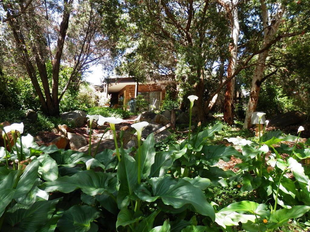 ארמדייל The Hideaway Luxury B&B Retreat מראה חיצוני תמונה