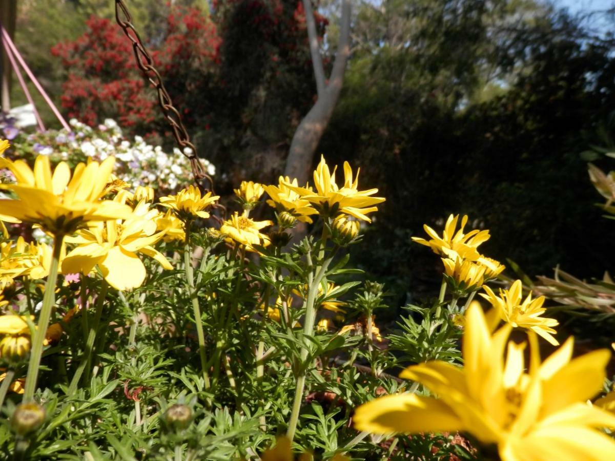 ארמדייל The Hideaway Luxury B&B Retreat מראה חיצוני תמונה